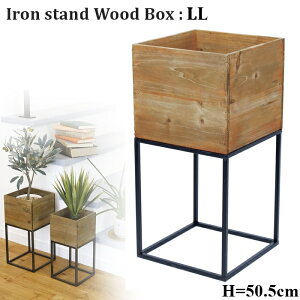 yczACAX^h{bNXLL@yIron atnd wood box ACA ؐ ԑ | K[fjO Gardening   R _Xg{bNXzyC{CXΉz