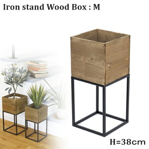 yczACAX^h{bNXM@yIron atnd wood box ACA ؐ ԑ | K[fjO Gardening   R _Xg{bNXzyC{CXΉz