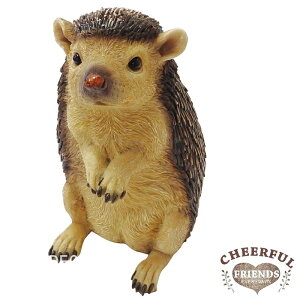 yۘaz`AttY@nlY~̃n[ygՂ遙K[fI[igzyCHEERFUL EVERYDAYS MARUWA ۘa u ETM  zyC{CXΉz