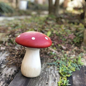 y_ẑ@@ 11568yGardening u@ ̂@LmR@ K[fIuWFzyK[fI[igzyC{CXΉz