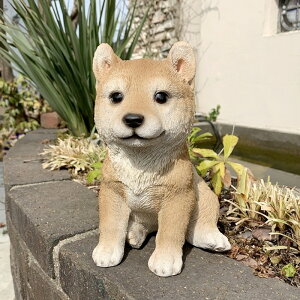 y_zāij(12907)H=21cm u R hbO DogyK[fjO I[ig K[fI[ig K[fjO u K[fIuWF K[fjOG݁zyC{CX