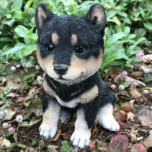 y_zāij(13184)H=21cm u R hbO DogyK[fjO I[ig K[fI[ig K[fjO u K[fIuWF K[fjOG݁zyC{CX