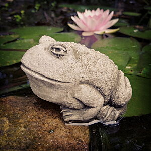 y_zyp CObVI[igzxCr[tbOi13413jW=8cm JG JGu ^ tbO CObV Xg[ IuWFyK[fjO I[ig K[f