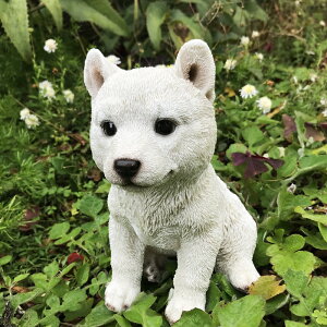 y_zāij(13469)H=21cm u R hbO DogyK[fjO I[ig K[fI[ig K[fjO u K[fIuWF K[fjOG݁zyC{CX