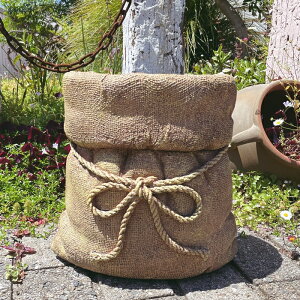 y_z܃v^[ij(15454)W=30.5cm v^[yAeB[N t@Co[|Xg[zyK[fjO I[ig K[fI[ig K[fjO u K[fI