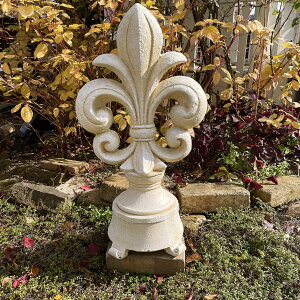 y_ztBjAB (15580jH=63cm @Α yK[fjO I[ig K[fI[ig K[fjO u K[fIuWF K[fjOG݁zyC{CXΉz