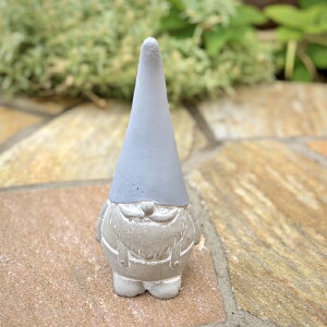 yczh[tS l 1864yu l h[t s IuWF K[fG CeAG݁zyC{CXΉz