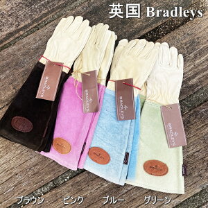 y݌Ɍzypbradley'sАzU[O[u (ubh[Y ubh[ o@KN@K[f܁@K[fO[u K[fjO Gardening )yC{CXΉz̓ Mtg