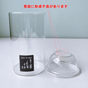 yBi M̌`sǂzySOWzMINI BULB VASE ͔|KXx[X NA V[g (kegy4060-b)ySOW/SPICEzqVX  ԕr x[X KXx[XyC{CXΉz