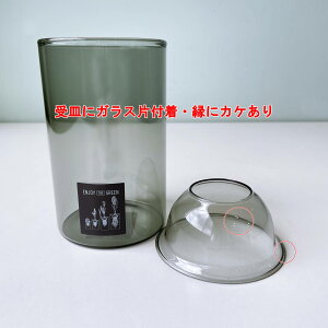 yBi MɃKXЕtEɃJPzySOWzMINI BULB VASE ͔|KXx[X NA V[g O[ (kegy4060gy-b)ySOW/SPICEzqVX  ԕr x[X KXx[XyC{CX