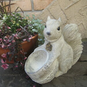 yLV}zyK[fI[igzXNCXLyu @X  zyC{CXΉz