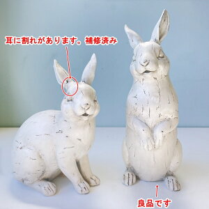 yBi Ă邤̎ɊꂠBCUς݁zyRxgK[fzK[frbgyA ikt-32-bjAeB[NȂ̒u yu  ETM  K[fI[ig