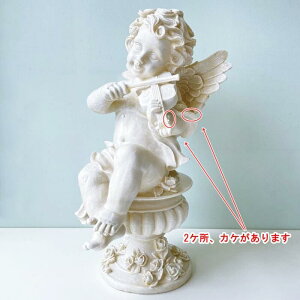 yBi 2PɃJP܂zy_zGWFoCIi12072jip-7349-bj@H=53.7cmVg Vgu GWFuyK[fjO I[ig K[fI[ig K[fj