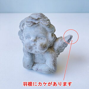 yBi HɃJP܂zyRxgK[fzK[fGWFEtbsO@qb-27-byu  MV_b AeB[NG K[fG Vg GWF i`G