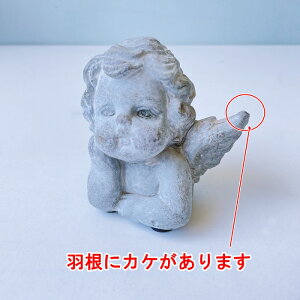 yBi HɃJP܂zyRxgK[fzK[fGWFEtbsO@qb-27-b2yu  MV_b AeB[NG K[fG Vg GWF i`