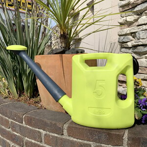 yFARMzGB[J W[ PRO 5bg CG[O[ (20006)yAEghApvX`bNJ 傤 W[ WE  K[fjOG K[fjOzyC{CX