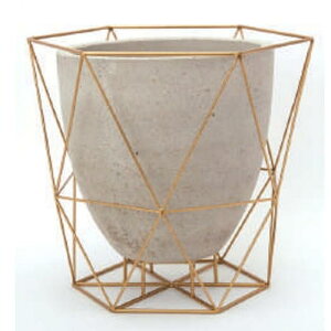 yFARMzC[t[g|bg S[h 43019yC[t[g|bg C[ t[g t[eBO |bg Ă  ꌊEhCi[tyAؔ ϗtA J