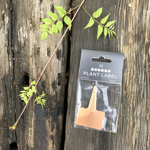 yo[WzRbp[x T^Cv 4 54001yK[fObY K[fG K[fjO l[x l[v[g O l[ v[g xzylR|XzyC{CXΉ