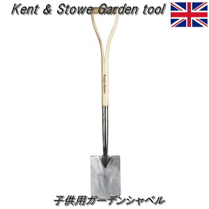 yp Kent & Stowe PgXg[zqpK[fVx (wex-00147) K[fVx Aւ Vx Vx ؐnhy15Nۏؕt K[fjO Mtg 蕨zyC{CX