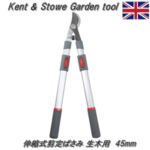 yp Kent & Stowe PgXg[zLk΂ ؗp 45mm (wex-00229) ΂  Lk }  _ y5Nۏؕt K[fjO Mtg 蕨zyC{CXΉz