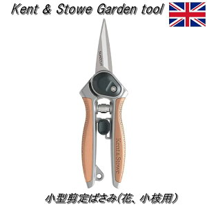 yp Kent & Stowe PgXg[z^΂  }p (wex-00658) Ԑ؃oT~ ΂ _ |   y5Nۏؕt K[fjO Mtg 蕨zyC{CXΉz