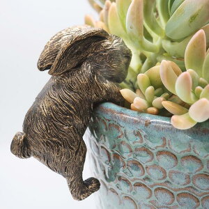 yFNXZbgWpzp |bgofB[Y ETM Pot Buddies, Rabit (wex-00698) rbg yp | I[ig K[fANZT[  A|bgnK[ n
