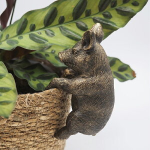 �y���F�N�X�Z�b�g�W���p���z�p���� �|�b�g�o�f�B�[�Y �u�^ Pot Buddies, Pig (wex-00699) �s�b�O�y�p���� �|������ �I�[�i�����g �K�[�f���A�N�Z�T���[ ���� �A���|�b�g�n���K�[ �n���M���O �݂艺