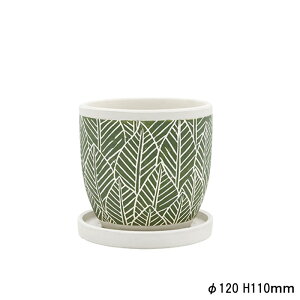 yJibNzj[Z[tD (cp848dg)yK[fObY K[fG K[fjO |bg  Aؔ  [t Mt \[T[t ꌊ 킢zyC{CXΉz