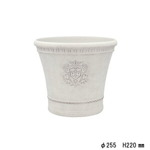 yJibNzW_x[VbNL IViAC{[jfc41ivyK[fObY K[fG K[fjO |bg  Aؔ Eh v^[ Eh 񂹐A AeB[N zyC