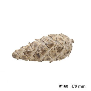 yJibNzWI[ig13ing023jyڂ ڂ CeAObY u  IuWF nEB NX}X fR[V   G߂̒u I[ig