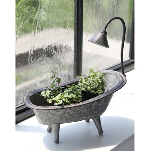 yRxgK[fzgoXEvc|bg bp-11yI[ig IuWF AeB[NG t[|bg  ϗtA i`K[f t`Vr[  ꌊzyC