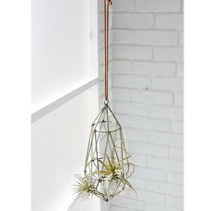 yRxgK[fz}[L[YEt[nO kw-04yAeB[NG i`G CeAG nMO ݂艺 GA[vc Vr[VbN  zyC{CX