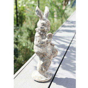 yRxgK[fzfBW[EV[grbg (qw-87)yu  ETM IuWF K[fG K[fjO Vr[ fR[V K[fIuWF 킢 zyC{CXΉ