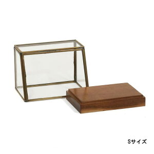 yNGzyAezuXV[P[XiSTCY:92500013) iLTCY:92500014jؐ fBXvC RNVP[X V[P[X ANZT[P[X fBXvCP[X [ ӂt 