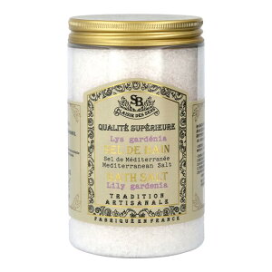 yEFFIEzyT^[EGE{[ezoX\g [K[fjA 400g 3213yT^[G{[e t`NVbN  oX\g C tbgoX bNX si 