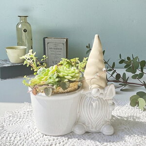 ynjAzZ~bNm[|bgL (hm-010855)y Jo[ Vr[VbN i` CeA fBXvC Mtg  킢  kzyC{CXΉz