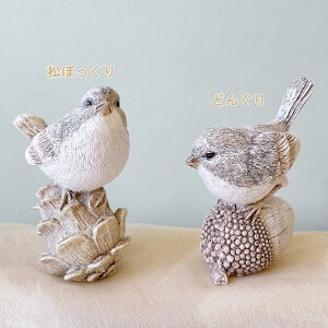 ynjAztHXgo[hIuWF2ZbgihO/ڂjhm-011294y2_Zbg fBXvC  [ Ae[N  Mtg v[g S[h Xܑ 