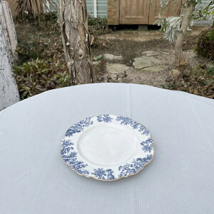 ynjAzghWCu[Ehv[g hm-800035y20.5cm v[g M H JtFH 킢 At^k[ At^k[eB[ P[LM t[cM ghWC Mt