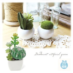 yLV}z傱ƒuĂLEȂĂgCTG}HyGNA60984zyLA[eBtBVO[ lHϗtA A  tFCNO[ L h R