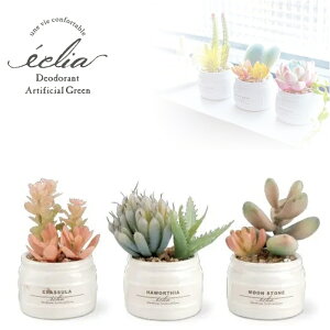 yX[p[SALE30OFFzyLV}zGNA@LA[eBtBVO[3Zbg@kh-61189yLA[eBtBVO[ lHϗtA A  tFCNO[ L 