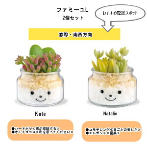 yX[p[SALE30OFFzyLV}zGNA@LA[eBtBVt[ t@~[ L 2Zbg kh-69245yMtg LA[eBtBVO[ lHϗtA  tFCNO