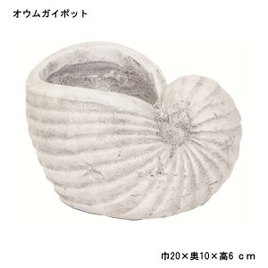 【村田屋】オウムガイポット 3104【植木鉢 鉢 フラワーベース ポット 寄せ植え ハーブ 多肉 貝殻 シェル ガーデン雑貨 ガーデニング おしゃれ 穴あり 】【インボイス対応】