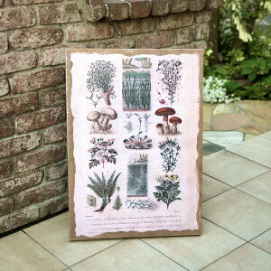 yX[p[SALE10OFFzyczLoXsN`[D@ 5013yLoXsN`[@LoX@sN`[@̂@LmR@}Ӂ@@G@AeB[N@AeB[NG C