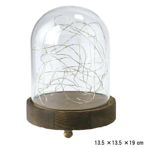yN[|܂zy݌ɌzLEDKXh[Cg (jpdr2010) a13.5cm 19cm AeB[N i` NX}X LEDCg  dr SOWyC{CXΉz