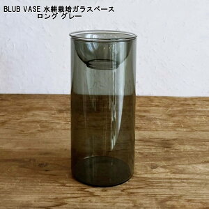 ySOWzBLUB VASE k͔|KXx[X O O[ikegy4070gy)ySOW/SPICEzqVX  ԕr x[X KXx[XyC{CXΉz