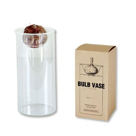 BULB VASE　バルブベースショート【スパイス/SPICE】ヒヤシンス 球根 花瓶 ベース ガラスベース【インボイス対応】