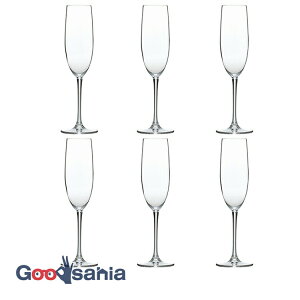 yz mX؃KX VpOX PALLONE p[l Vp 170ml 6Zbg H@Ή ɂ ObhfUC OX  RN-10254CSi ƖpOX  H@ 