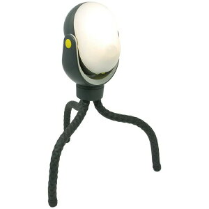 yz TV RITEX ǂłZT[Cg300 ASL-097