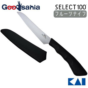 yz L KAI SELECT100 ZNg100 t[ciCt Vo[ 23.5×1.2×3.2cm DH-3014 y[ցz (   S t Tt 炦 )