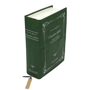 yz aY Xg[WubNX [2 [ y ߗގ[ z O[ 50×35×15cm 84413 i ߗ m  ߕ  Xq C G q ȃXy[X   j